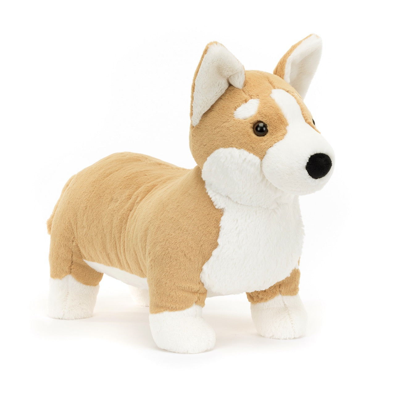 Jellycat Betty Corgi | Big