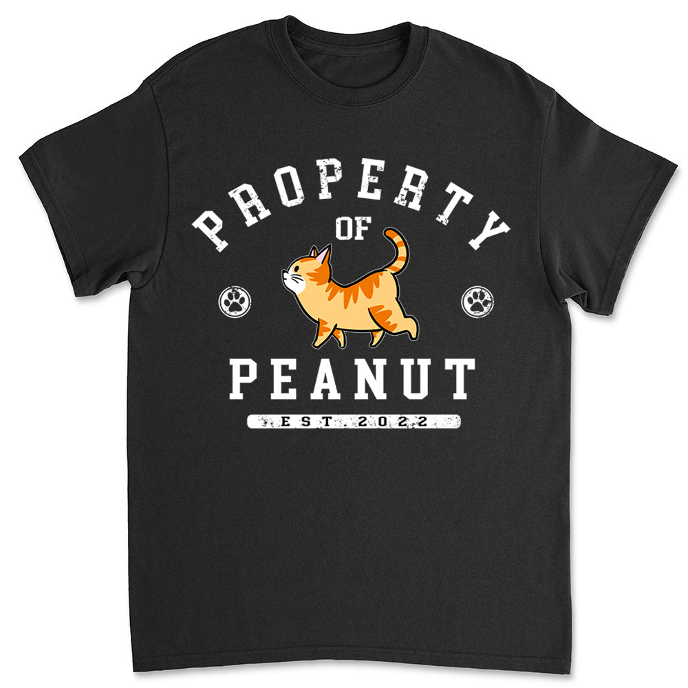 Cat Property - Personalized Custom Unisex T-shirt