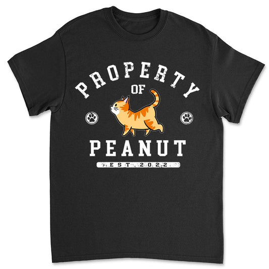 Cat Property - Personalized Custom Unisex T-shirt