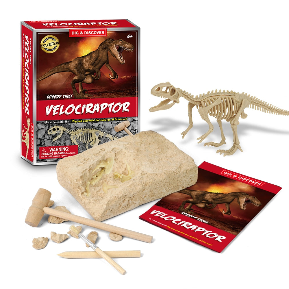 Dinosaur Fossil Digging Kit - JCEE Shop