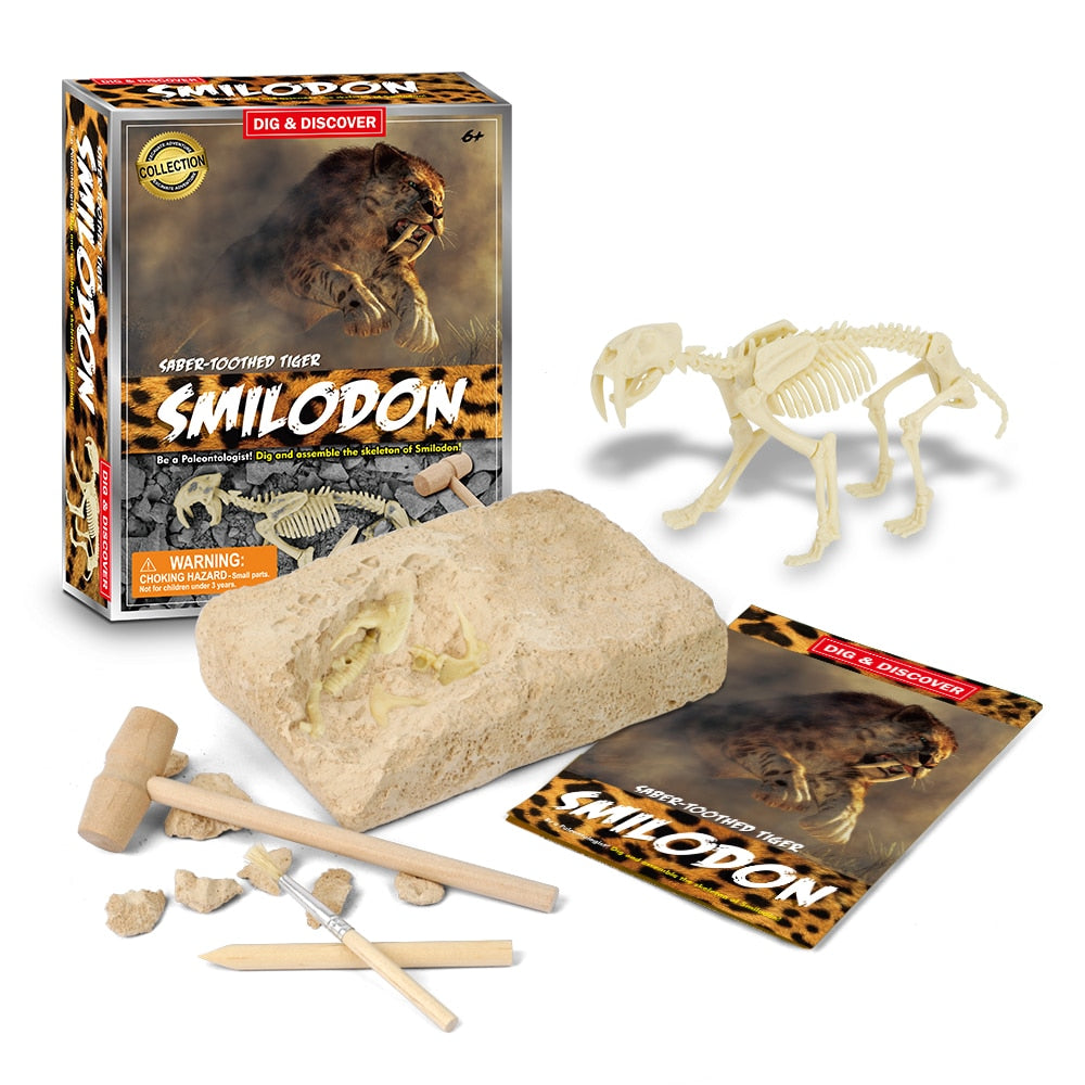 Dinosaur Fossil Digging Kit - JCEE Shop