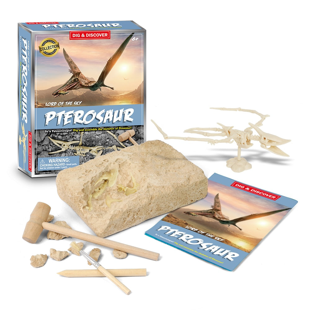 Dinosaur Fossil Digging Kit - JCEE Shop