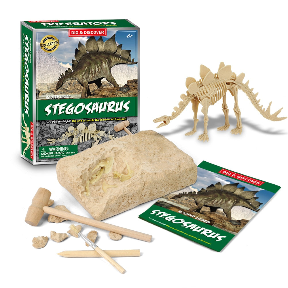 Dinosaur Fossil Digging Kit - JCEE Shop