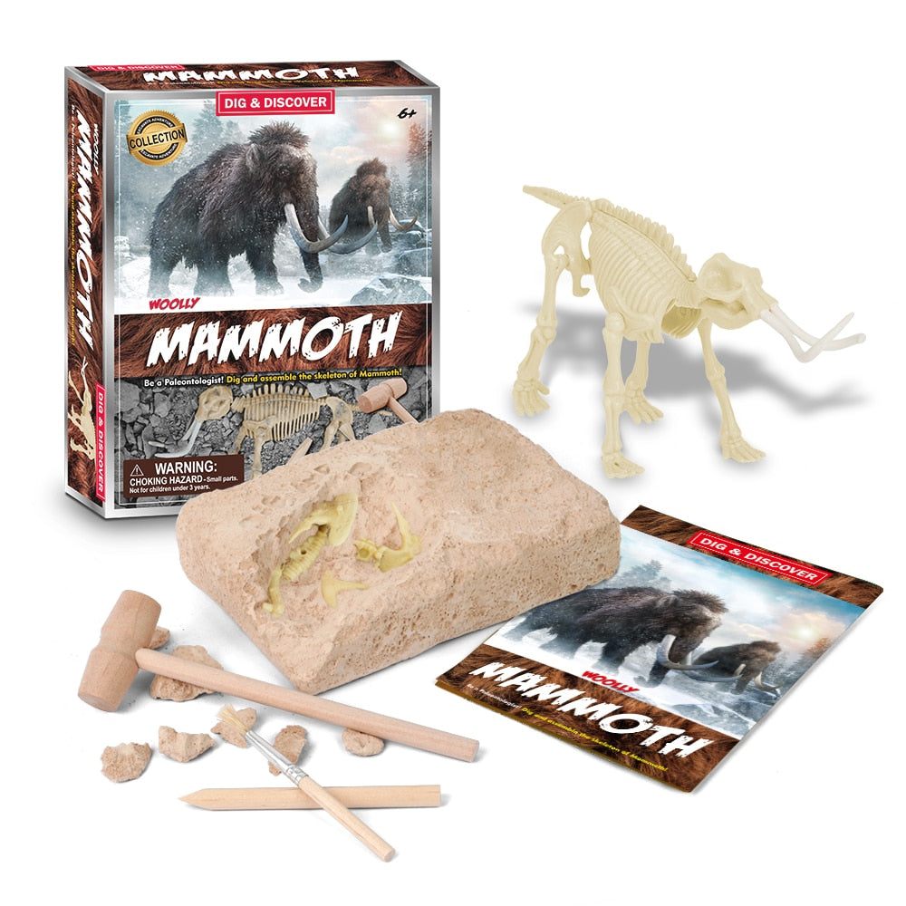 Dinosaur Fossil Digging Kit - JCEE Shop