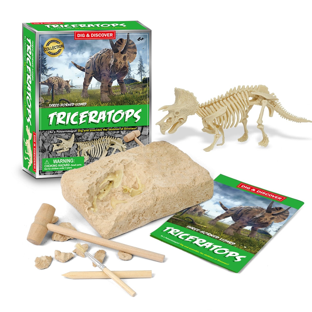 Dinosaur Fossil Digging Kit - JCEE Shop