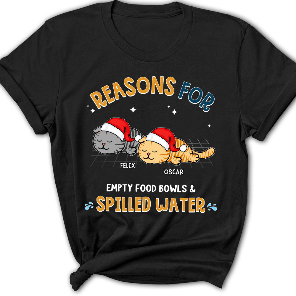 The Reasons For - Personalized Custom Women's T-shirt