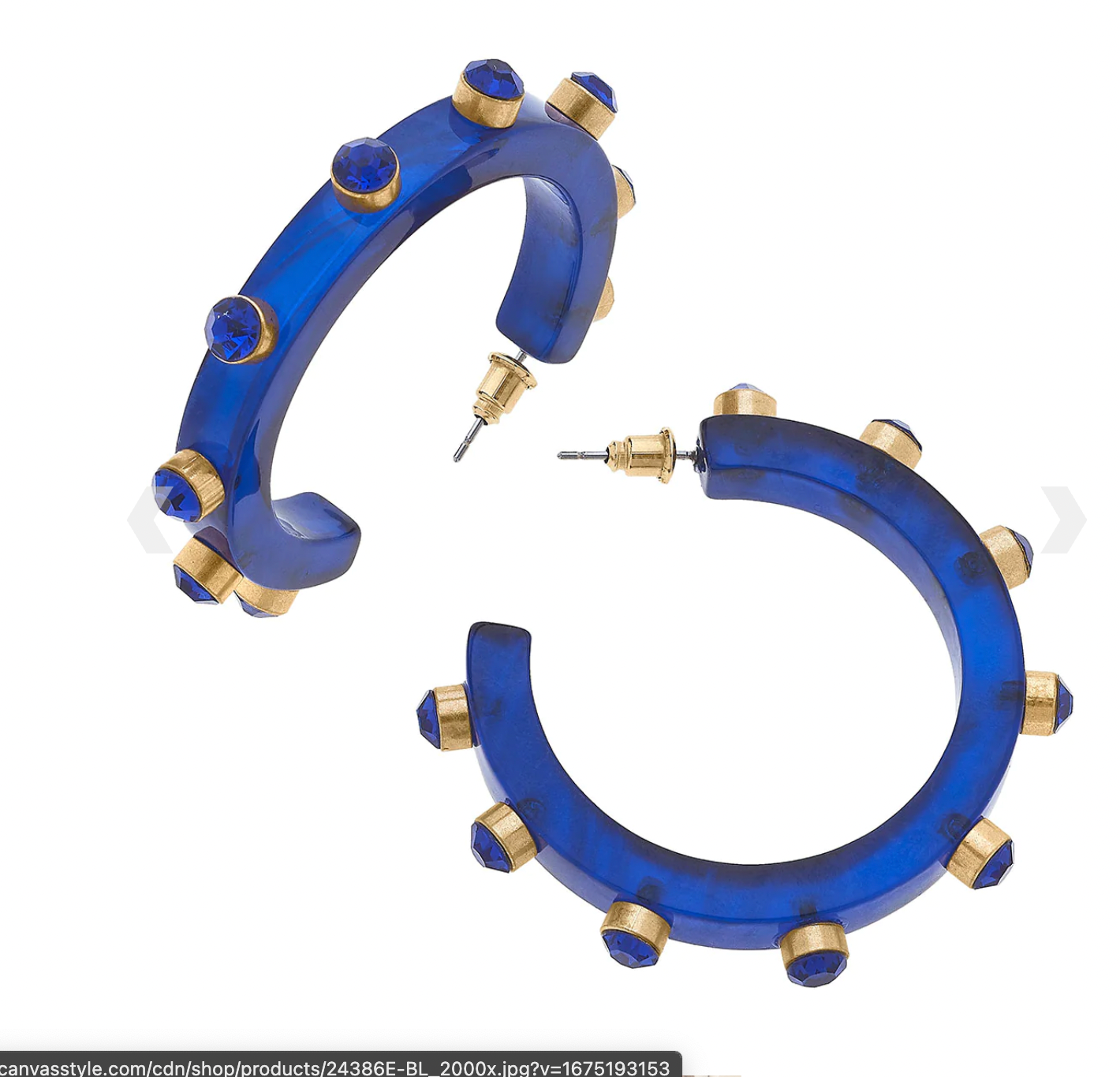 Renee Resin and Rhinestone Hoop Earrings