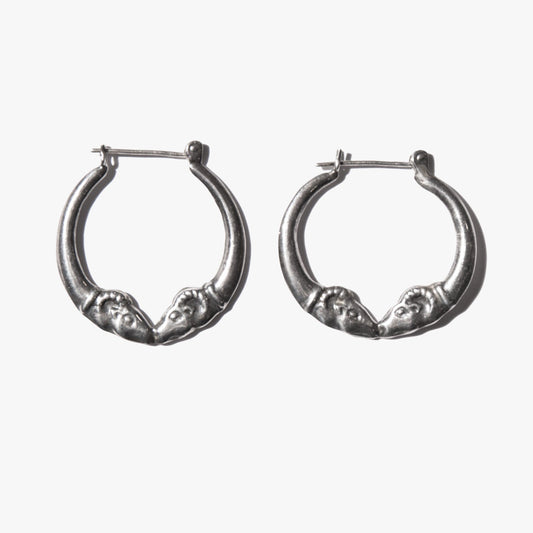 Fiery Force Earrings