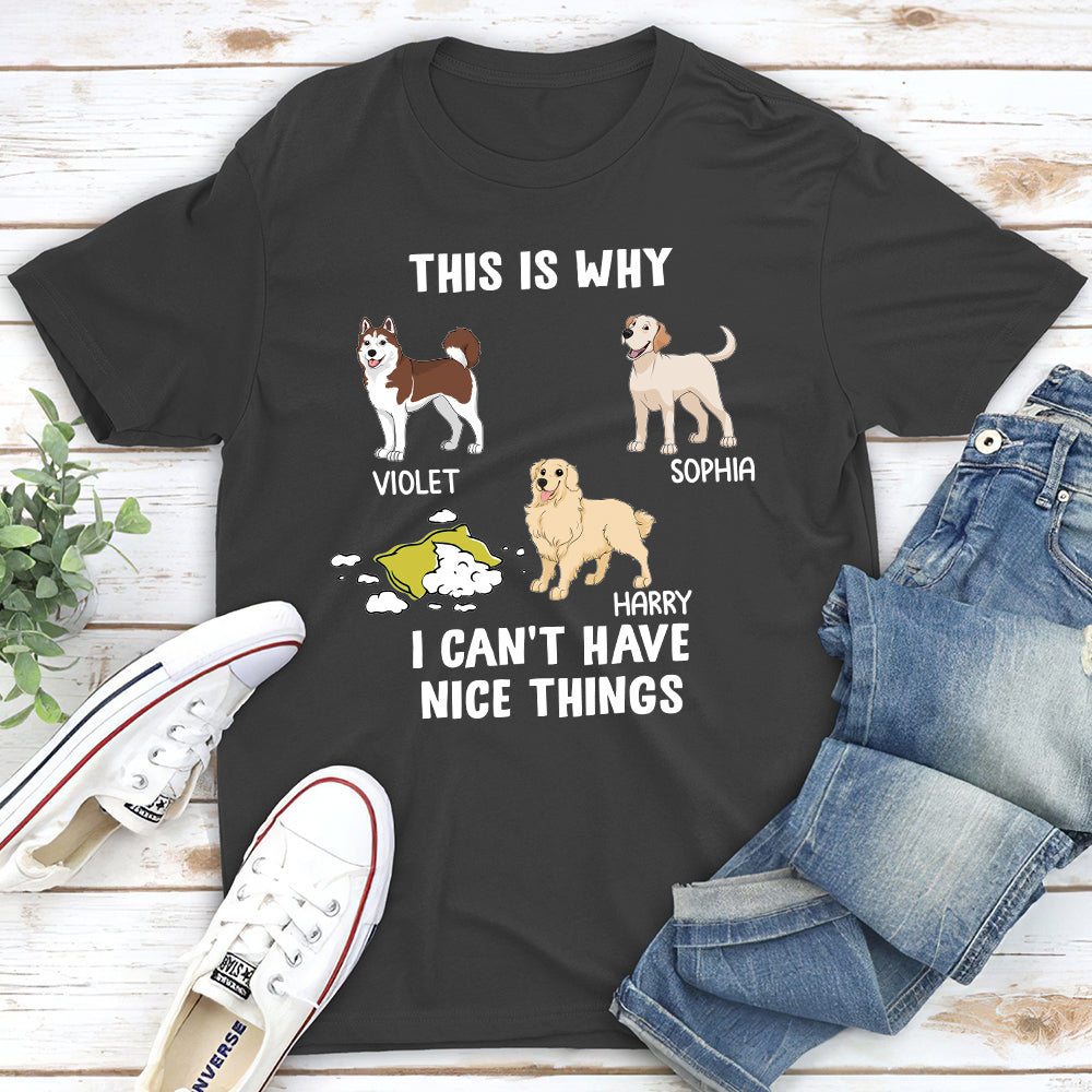 Have Nice Things - Personalized Custom Premium T-shirt